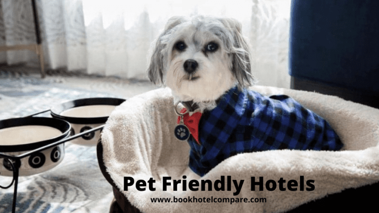 top-low-cost-pet-friendly-hotels-near-me-in-usa-upto-80-off